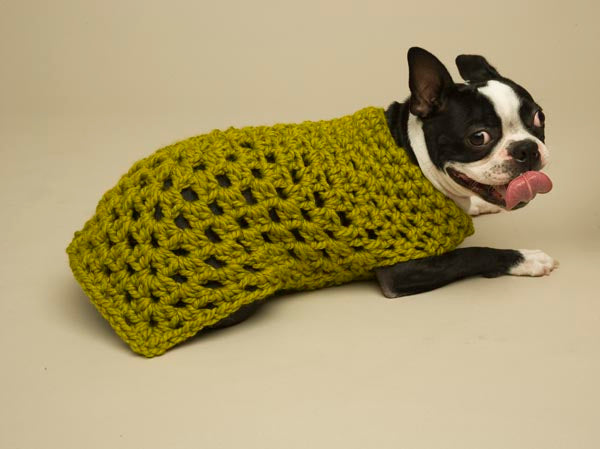 Granny Square Dog Sweater Pattern (Crochet) – Lion Brand Yarn