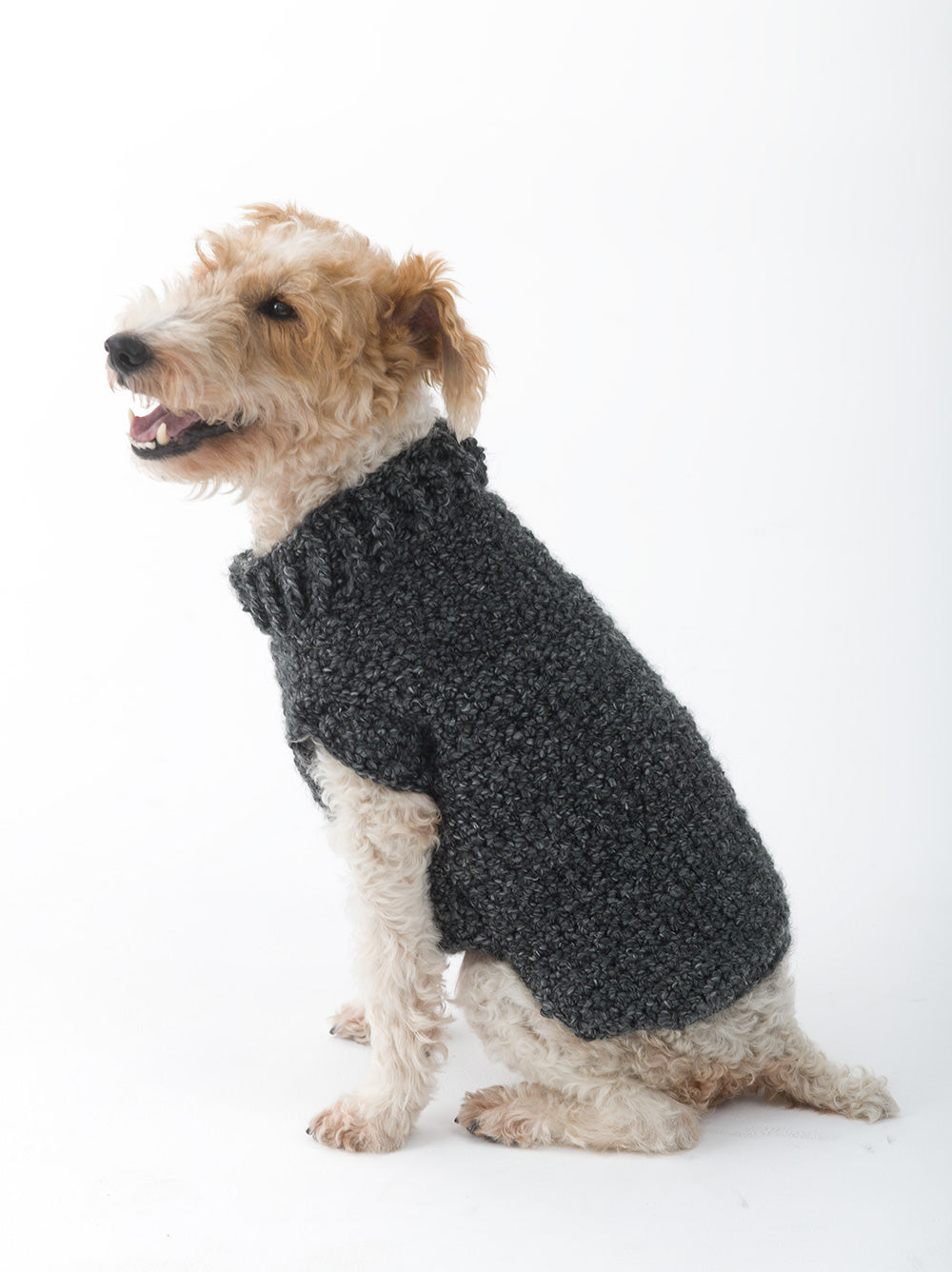 Free crochet dog sweater pattern best sale