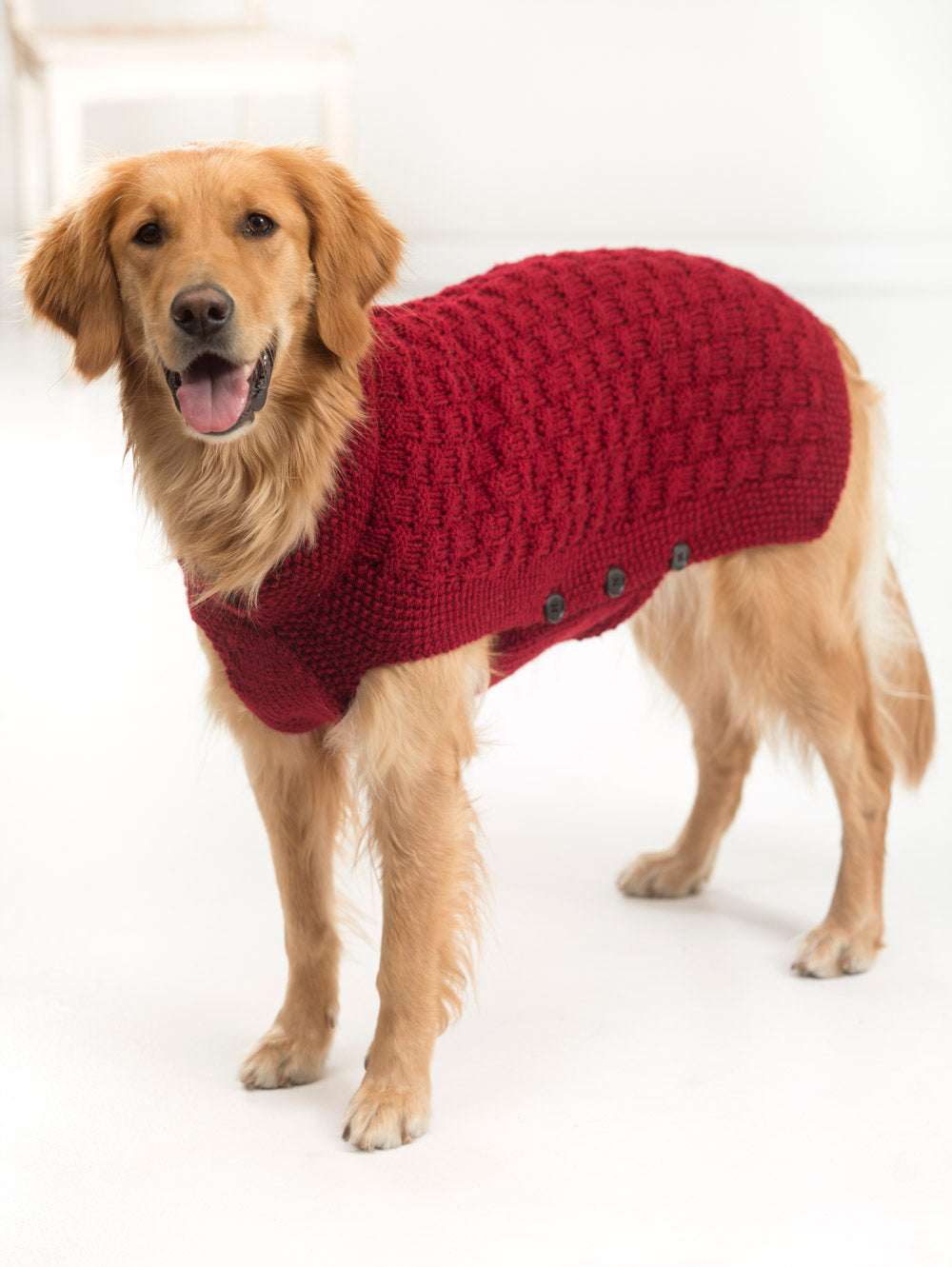 Clifford Dog Sweater (Knit) – Lion Brand Yarn