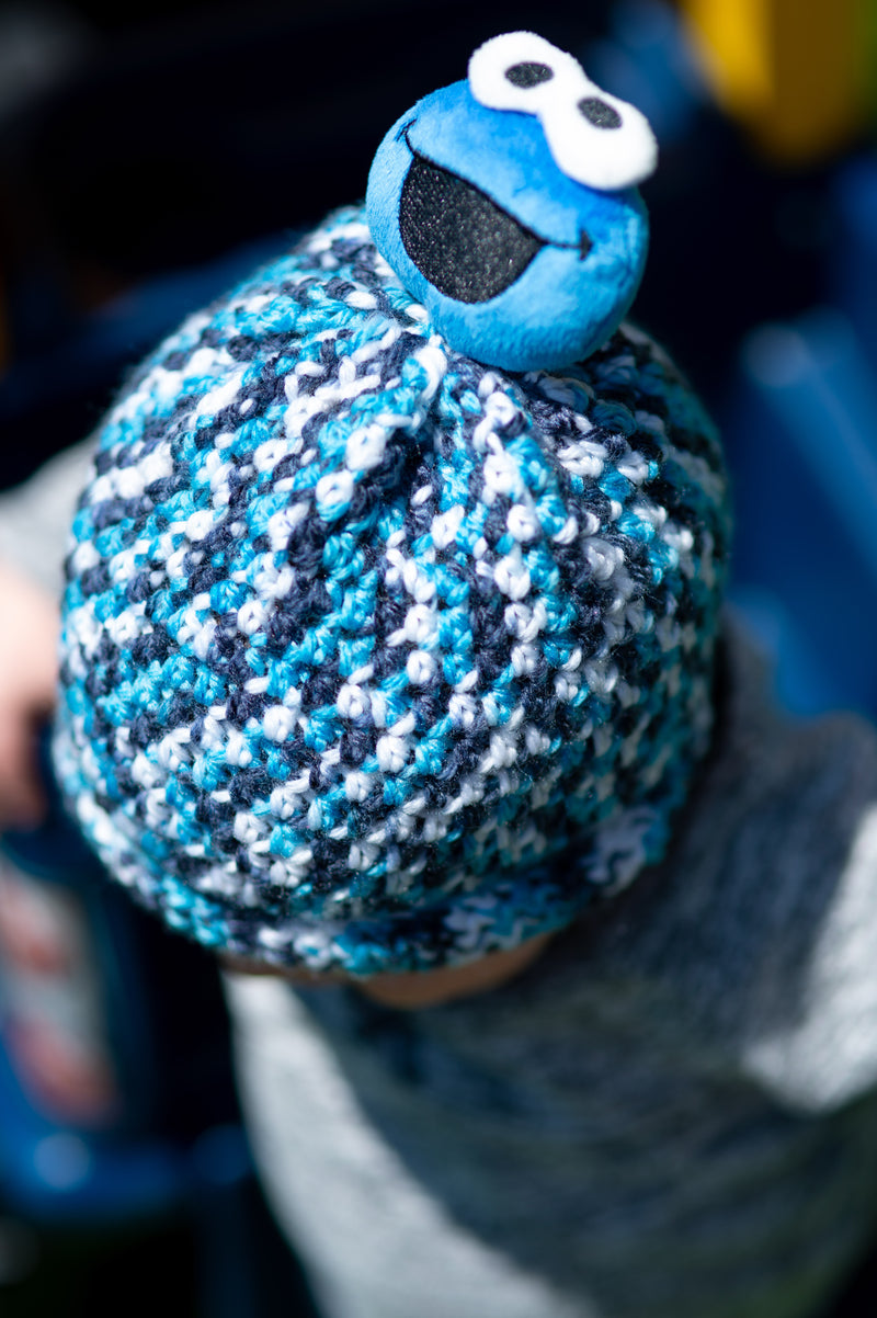 Crochet Cookie Monster Hat – Lion Brand Yarn